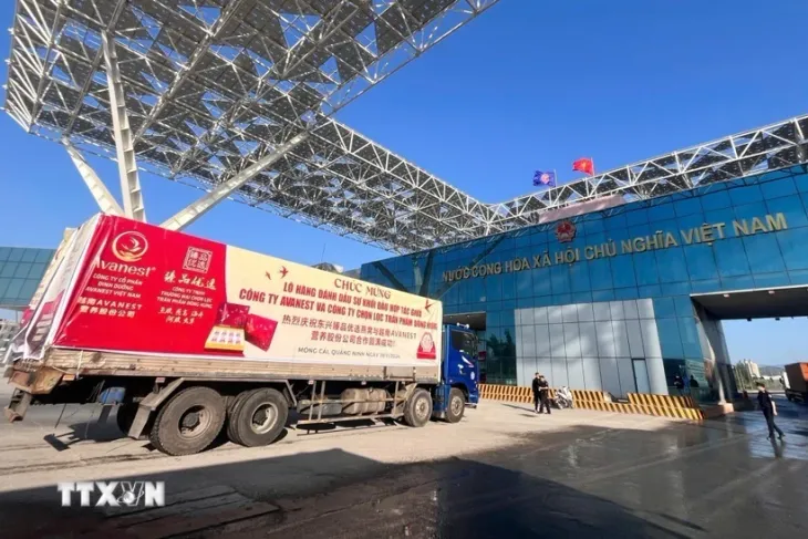 Xuất khẩu chính ngạch lô hàng tổ yến đầu tiên qua cầu Bắc Luân 2 - Ảnh 1. Xuất khẩu chính ngạch lô hàng tổ yến đầu tiên qua cầu Bắc Luân 2 - Ảnh 1.