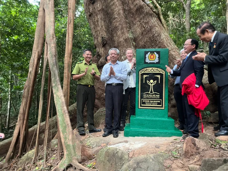 Côn Đảo vinh danh Cây Di sản và xác lập kỷ lục Việt Nam cho sân chim Hòn Trứng - Ảnh 3. Côn Đảo vinh danh Cây Di sản và xác lập kỷ lục Việt Nam cho sân chim Hòn Trứng - Ảnh 3.