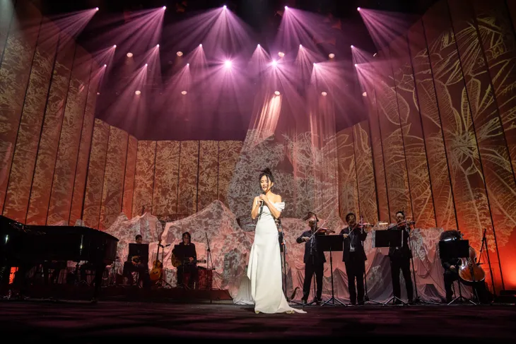 Hồng Nhung mang loa phường lên live concert hát về Hà Nội - Ảnh 10. Hồng Nhung mang loa phường lên live concert hát về Hà Nội - Ảnh 10.