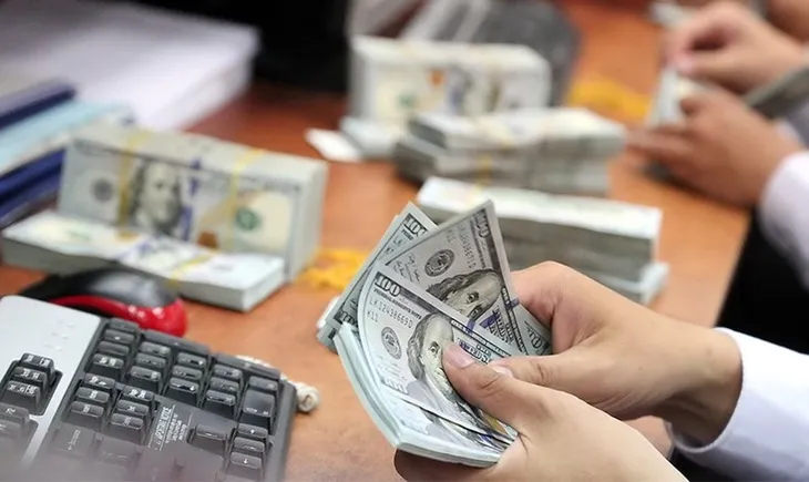 Thị trường tiền tệ biến động trái chiều - Ảnh 2.