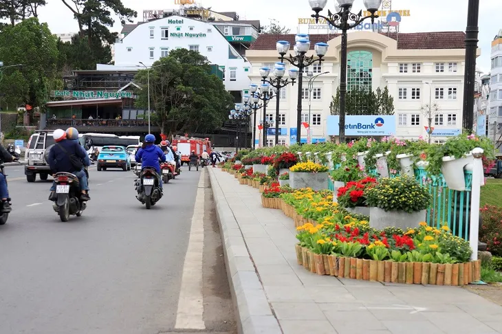 Hoa Đà Lạt hối hả “xuống phố” trước thềm khai mạc - Ảnh 2. Hoa Đà Lạt hối hả “xuống phố” trước thềm khai mạc - Ảnh 2.