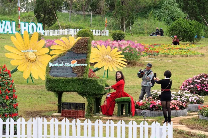 Hoa Đà Lạt hối hả “xuống phố” trước thềm khai mạc - Ảnh 1. Hoa Đà Lạt hối hả “xuống phố” trước thềm khai mạc - Ảnh 1.