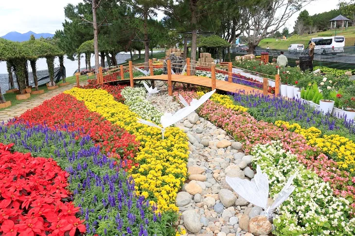 Hoa Đà Lạt hối hả “xuống phố” trước thềm khai mạc - Ảnh 8. Hoa Đà Lạt hối hả “xuống phố” trước thềm khai mạc - Ảnh 8.