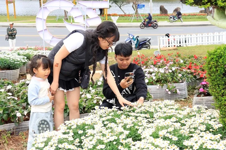 Hoa Đà Lạt hối hả “xuống phố” trước thềm khai mạc - Ảnh 11. Hoa Đà Lạt hối hả “xuống phố” trước thềm khai mạc - Ảnh 11.