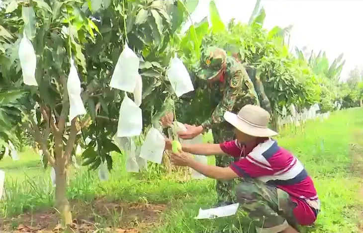 Điểm tựa phát triển vùng biên giới - Ảnh 1. Điểm tựa phát triển vùng biên giới - Ảnh 1.