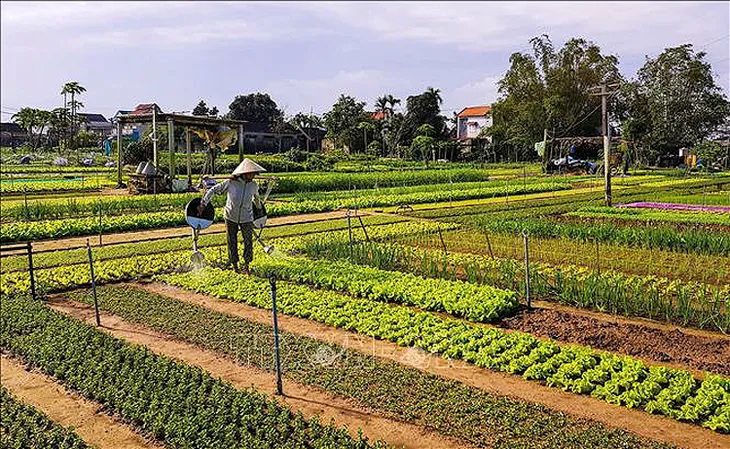 Lần đầu tiên Việt Nam đăng cai tổ chức Hội nghị quốc tế về Du lịch nông thôn - Ảnh 1. Lần đầu tiên Việt Nam đăng cai tổ chức Hội nghị quốc tế về Du lịch nông thôn - Ảnh 1.