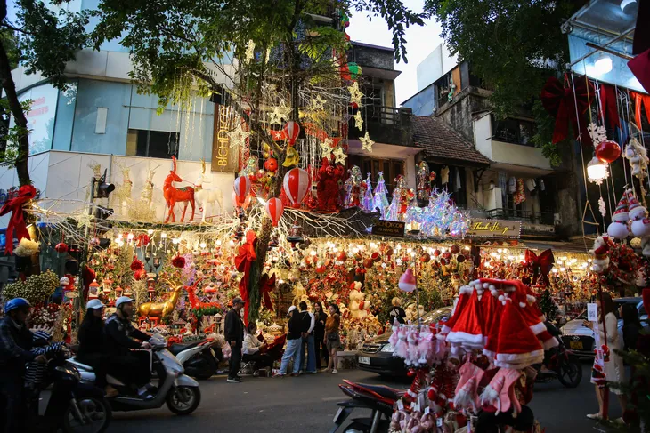 Thông tươi tiền triệu hút khách mùa Noel - Ảnh 1. Thông tươi tiền triệu hút khách mùa Noel - Ảnh 1.