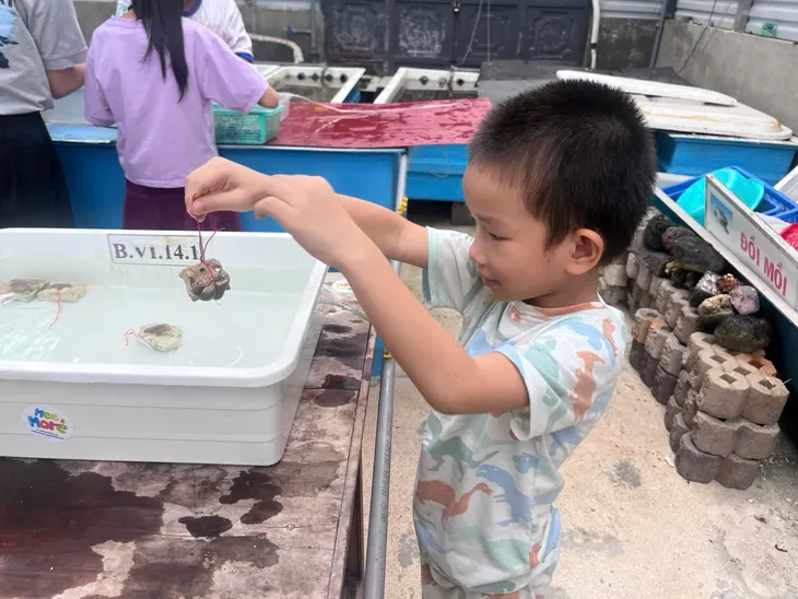 Gieo mầm ý thức bảo vệ biển cả Câu chuyện của San hô - Ảnh 13. Gieo mầm ý thức bảo vệ biển cả Câu chuyện của San hô - Ảnh 13.
