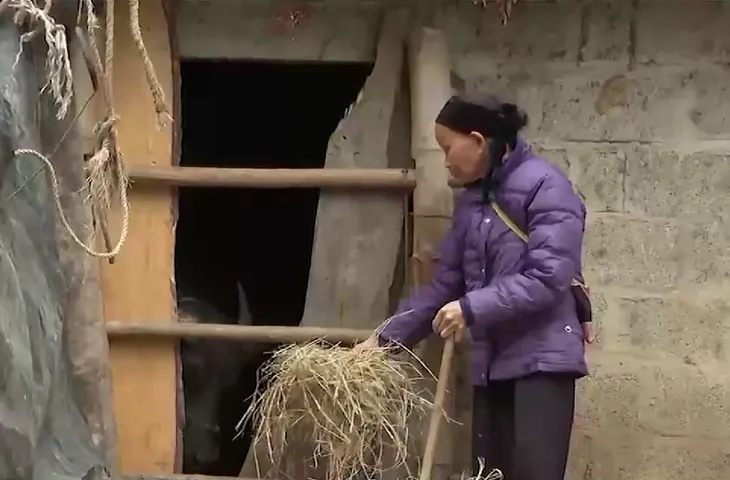 Người dân miền Bắc đón đợt rét đậm đầu tiên của mùa đông - Ảnh 2. Người dân miền Bắc đón đợt rét đậm đầu tiên của mùa đông - Ảnh 2.