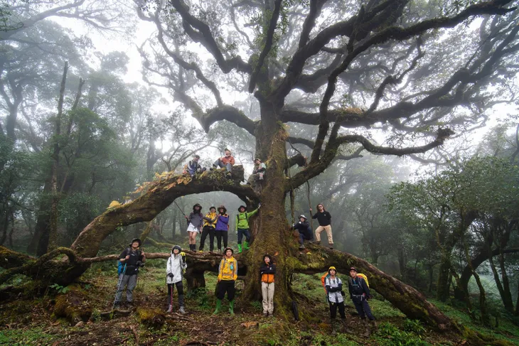 Theo chân trekker xuyên rừng lên đỉnh Sa Mu - Ảnh 11. Theo chân trekker xuyên rừng lên đỉnh Sa Mu - Ảnh 11.