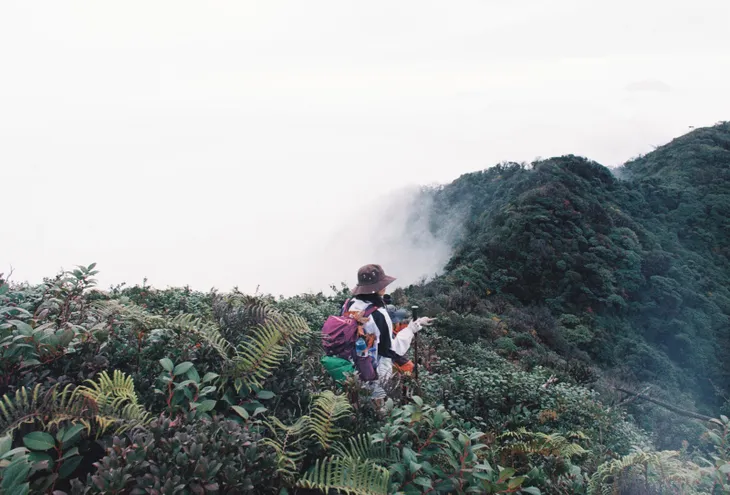 Theo chân trekker xuyên rừng lên đỉnh Sa Mu - Ảnh 6. Theo chân trekker xuyên rừng lên đỉnh Sa Mu - Ảnh 6.