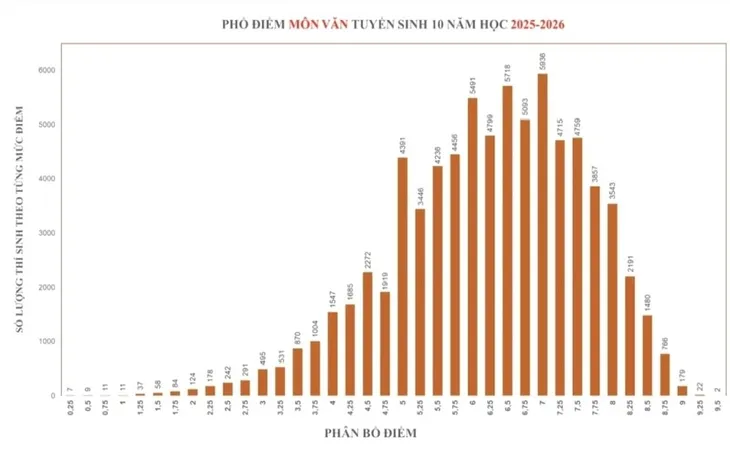 Điểm thi, Phổ điểm và câu trả lời về năng lực học tập của thí sinh thi vào lớp 10 công lập ở TP Hồ Chí Minh - Ảnh 1.