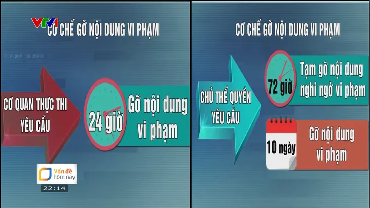 Bản quyền số: Đừng để cuộc chiến chống vi phạm chỉ là rượt đuổi không hồi kết - Ảnh 4.