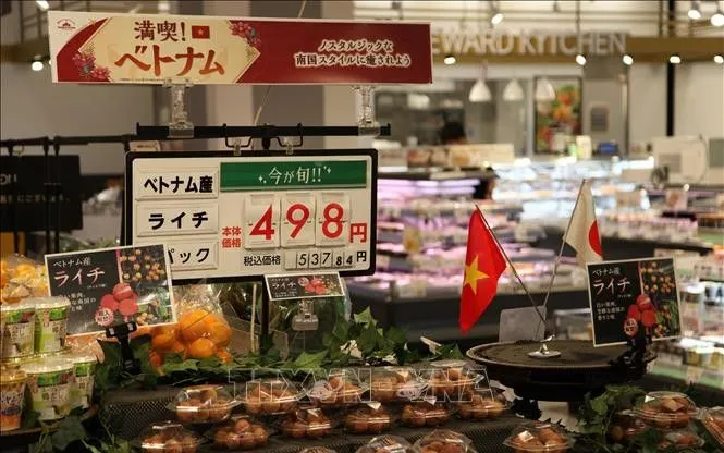 Người Nhật ưu tiên sản phẩm bền vững, xuất xứ rõ ràng, và thân thiện môi trường Người Nhật ưu tiên sản phẩm bền vững, xuất xứ rõ ràng, và thân thiện môi trường