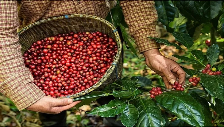Từ cà phê đến công nghệ cao: Xuất khẩu Việt Nam vẽ đường đi giữa 