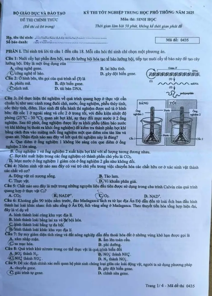 Đề thi môn Sinh học thi tốt nghiệp THPT - Ảnh 1.