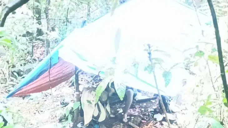 Người đàn ông tử vong trong chòi tạm khi đi hái lan rừng - Ảnh 1. Người đàn ông tử vong trong chòi tạm khi đi hái lan rừng - Ảnh 1.