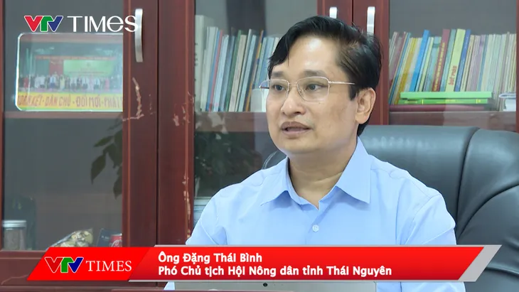 Bắt giữ đối tượng lợi dụng uy tín "Chè Thái Nguyên" thu lời hàng chục tỷ đồng- Ảnh 3. Bắt giữ đối tượng lợi dụng uy tín "Chè Thái Nguyên" thu lời hàng chục tỷ đồng- Ảnh 3.