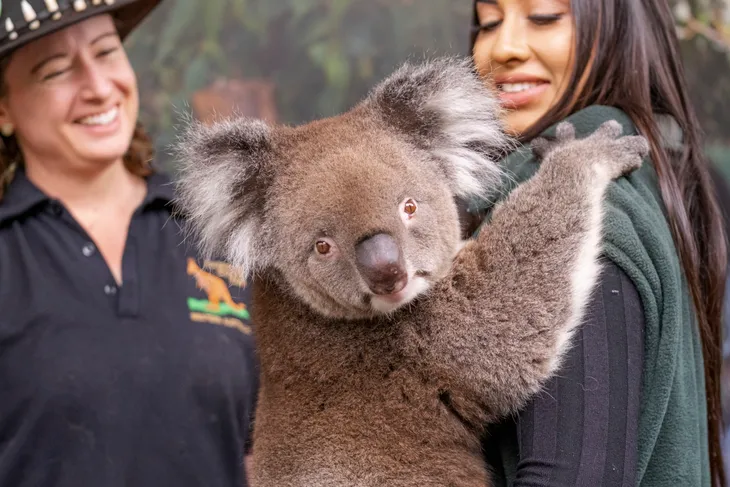 Khám phá vẻ đẹp nguyên sơ của vùng đất Tây Australia - Ảnh 7.