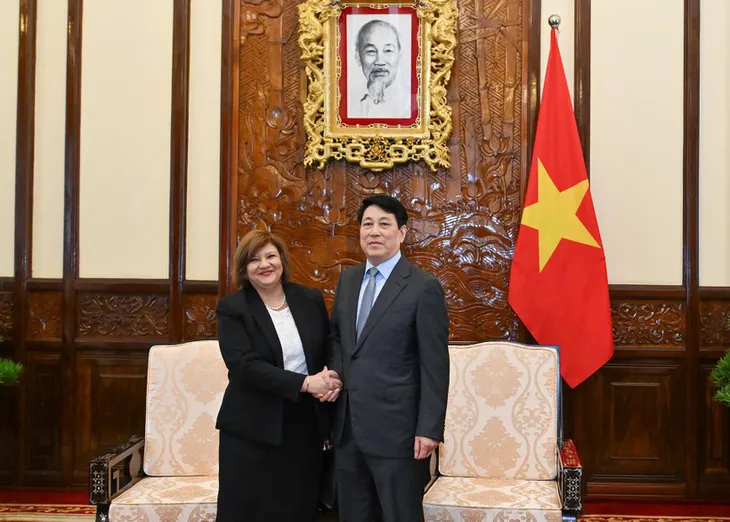 Chủ tịch nước Lương Cường tiếp Đại sứ Ai Cập đến chào từ biệt - Ảnh 1.