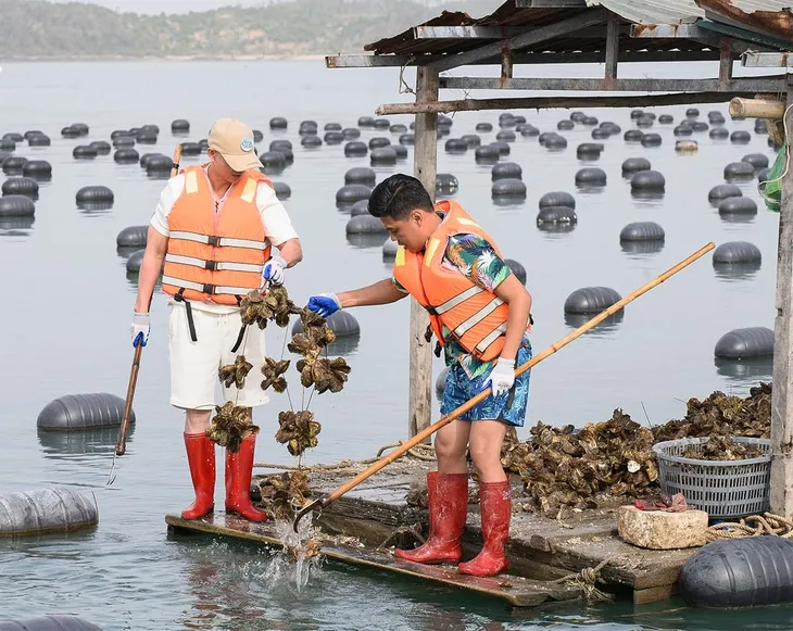 Bố ơi mình đi đâu thế - Tập 4: Các bố ra khơi thu hoạch hàu 'trả nợ' - Ảnh 3.