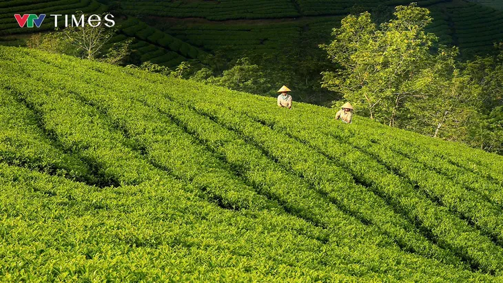 Mê mẩn chốn “bồng lai tiên cảnh” ở vùng Đất Tổ - Ảnh 9.