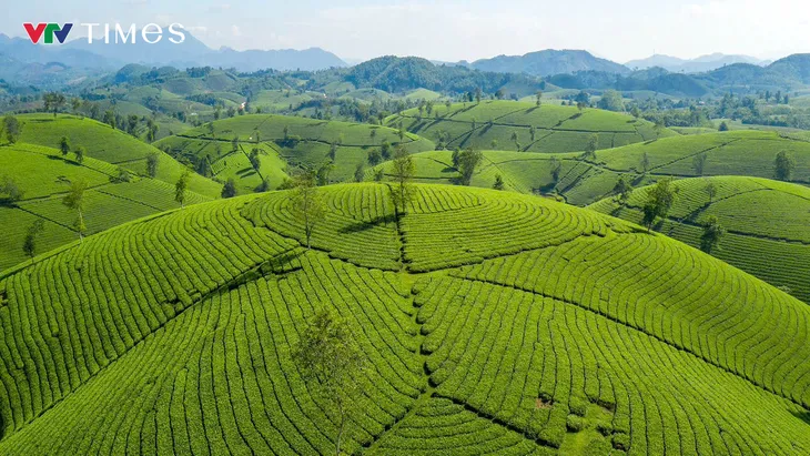 Mê mẩn chốn “bồng lai tiên cảnh” ở vùng Đất Tổ - Ảnh 7.