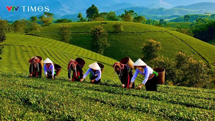 Mê mẩn chốn “bồng lai tiên cảnh” ở vùng Đất Tổ - Ảnh 5.