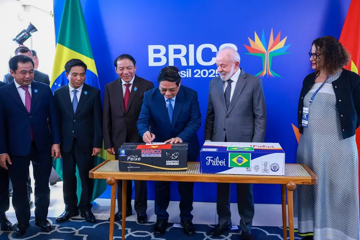 Thủ tướng Phạm Minh Chính hội đàm với Tổng thống Brazil - Ảnh 5.