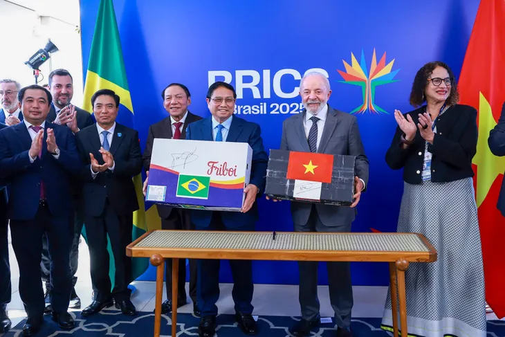 Thủ tướng Phạm Minh Chính hội đàm với Tổng thống Brazil - Ảnh 6.