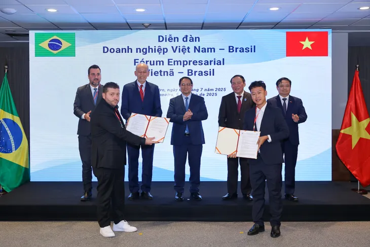 Thủ tướng kêu gọi doanh nghiệp Việt Nam - Brazil hiện thực hóa hàng loạt định hướng mới trong hợp tác kinh tế - Ảnh 6.