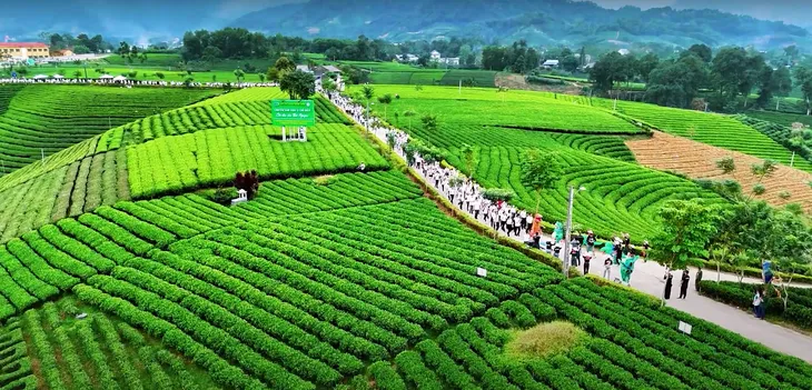 Thái Nguyên: Khám phá tiềm năng du lịch "Đệ nhất danh trà" và di sản lịch sử phong phú - Ảnh 1.