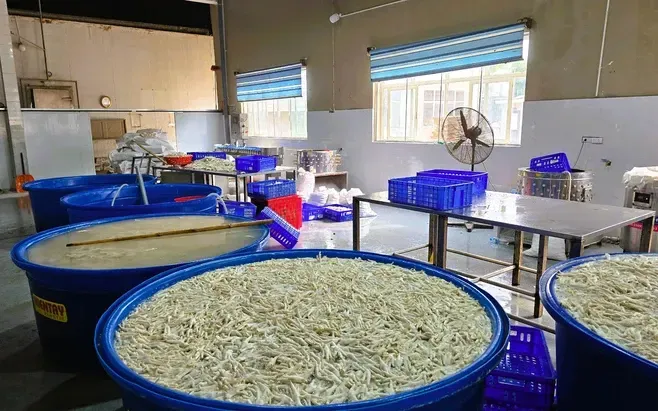 Hàng tấn chân gà ngâm hoá chất tẩy trắng nguy hại thế nào?