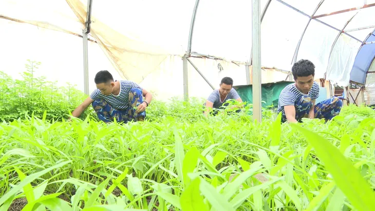 Quân và dân Trường Sa hướng trọn niềm tin về Đại hội Đại biểu Đảng bộ Quân chủng Hải quân lần thứ XIV  - Ảnh 3.
