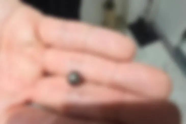 Rúng động Hàn Quốc: Cha bắn chết con trai giữa tiệc sinh nhật- Ảnh 2. Rúng động Hàn Quốc: Cha bắn chết con trai giữa tiệc sinh nhật- Ảnh 2.