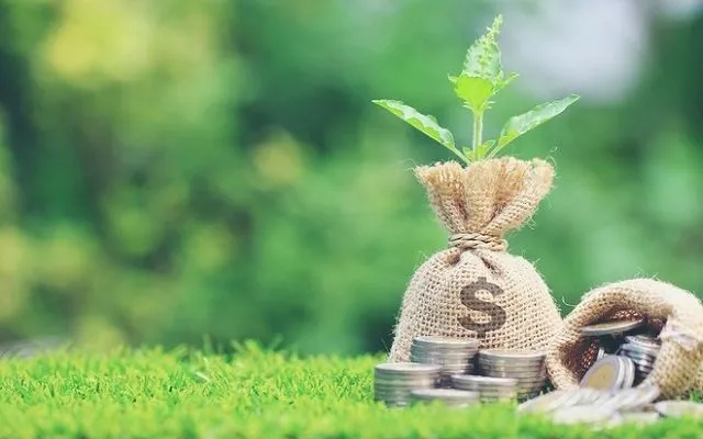 Khơi thông tín dụng xanh: Cần cú hích chính sách đủ mạnh