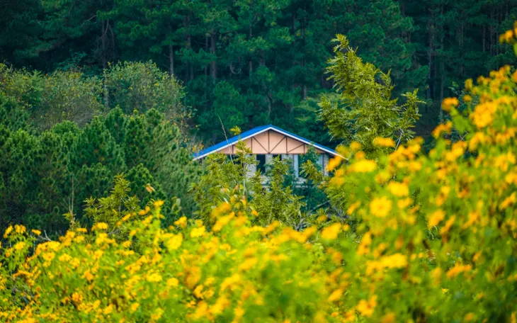 Miền Trung - Tây Nguyên: Những điểm hẹn hấp dẫn tháng 11
