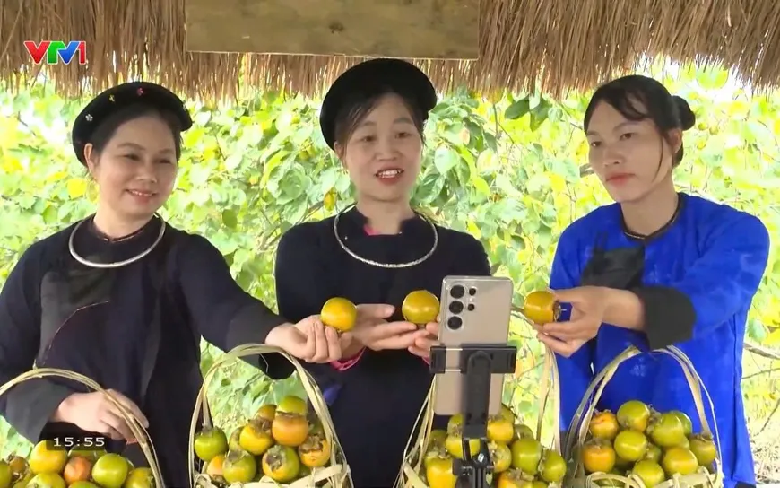Sắc hồng biên cương: Mở hướng làm giàu từ vườn quả