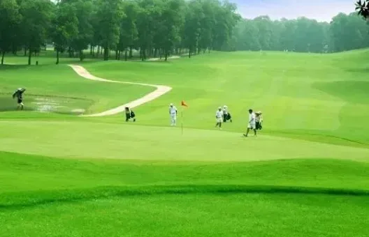 Sẽ kiểm kê đất đai chuyên đề về tình hình quản lý, sử dụng đất sân golf