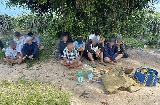 Bình Thuận: Triệt xoá tụ điểm đá gà bắt giữ 13 đối tượng