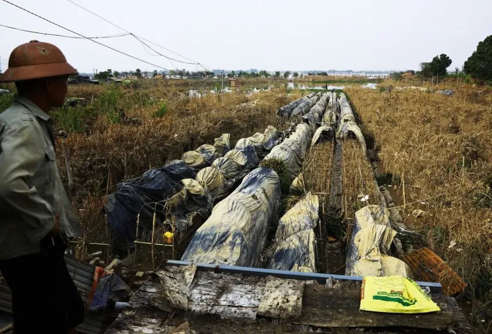 Khắc phục hậu quả bão lũ, khôi phục sản xuất kinh doanh