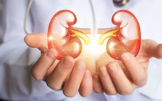 Những thói quen nên làm vào buổi sáng giúp thận khoẻ