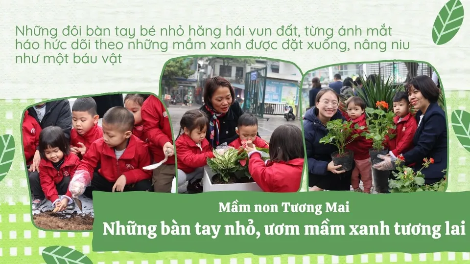 Những bàn tay nhỏ, ươm mầm xanh tương lai
