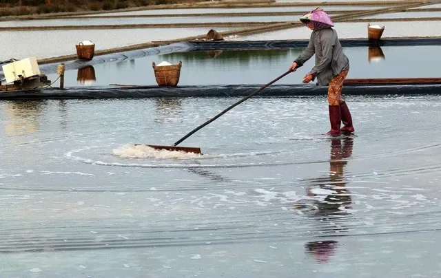 Giá muối tăng mạnh, diêm dân vui mừng nhận "lộc" đầu năm