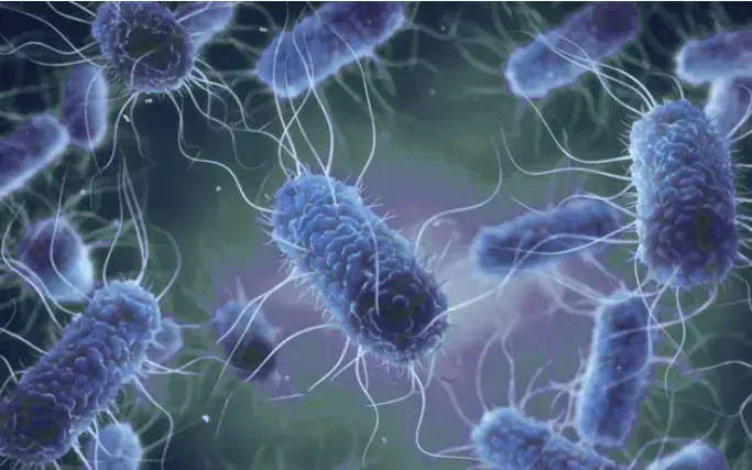 Ba bác sĩ nghi nhiễm E.Coli tại Hong Kong (Trung Quốc)