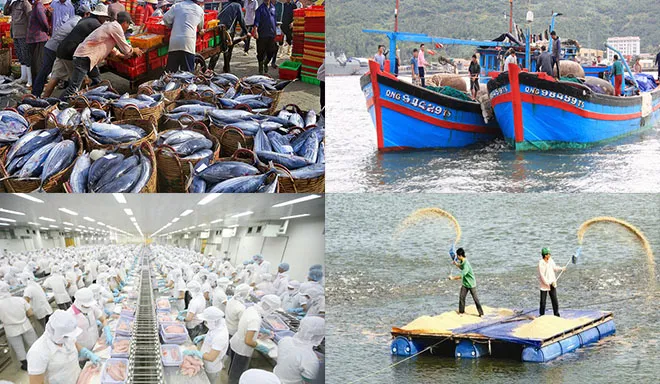Việt Nam là thị trường cung cấp thuỷ sản lớn thứ 2 cho Brazil