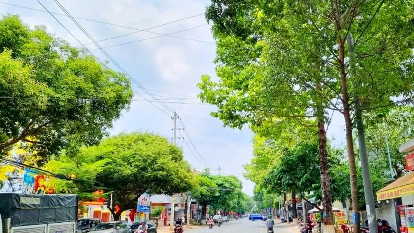 Bộ Công an đề nghị Đắk Lắk cung cấp thêm thông tin về các dự án cây xanh