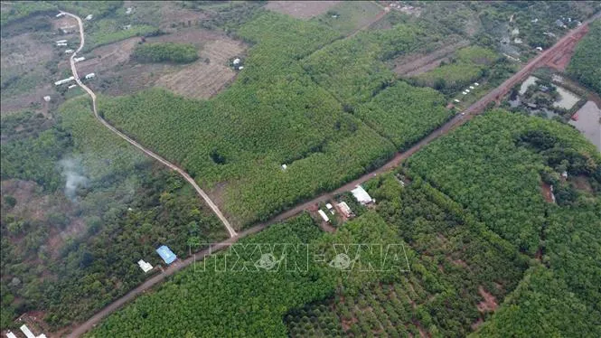 Phương án đầu tư tuyến đường kết nối tỉnh Bình Phước – tỉnh Đồng Nai qua cầu Mã Đà