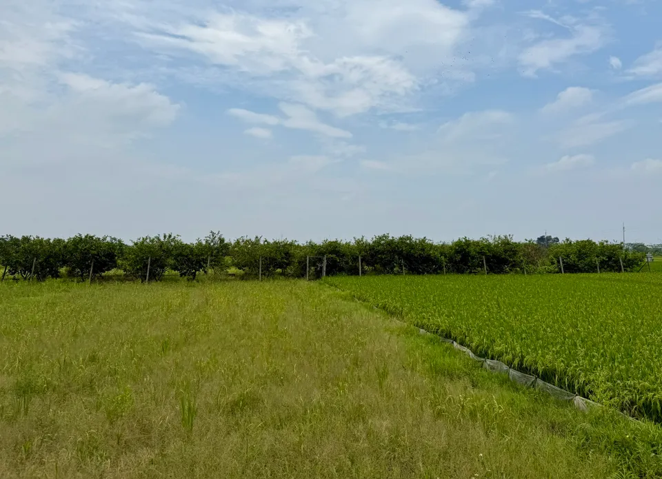 Hà Nội chấp thuận 148 khu đất thực hiện dự án thí điểm bất động sản