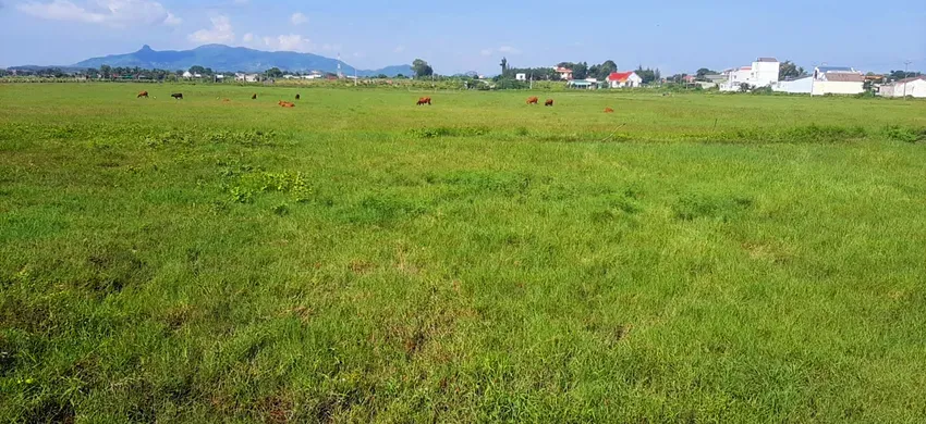 Dự án khu dân cư 110.000 m² ở Bình Thuận “tắc” 7 năm vì tranh cãi thu hồi đất